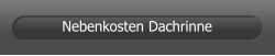 Nebenkosten Dachrinne